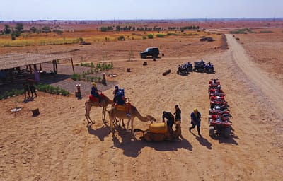 Camel ride in Marrakech with Volcano Experience